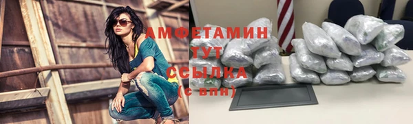 гидра Новозыбков