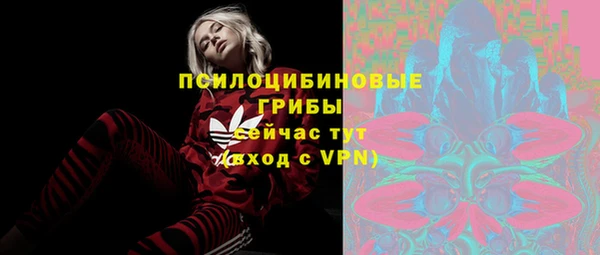 spice Абаза