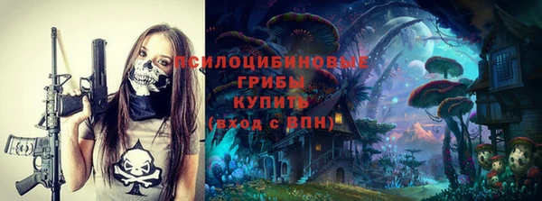 кокс Алексин
