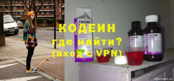 индика Новодвинск