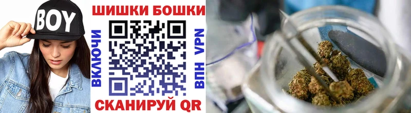 как найти наркотики  Тарко-Сале  Каннабис сатива 
